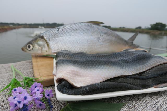 新鮮虱目魚皮,洪氏鮮蝦