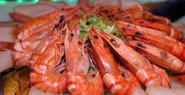 蝦子的營養