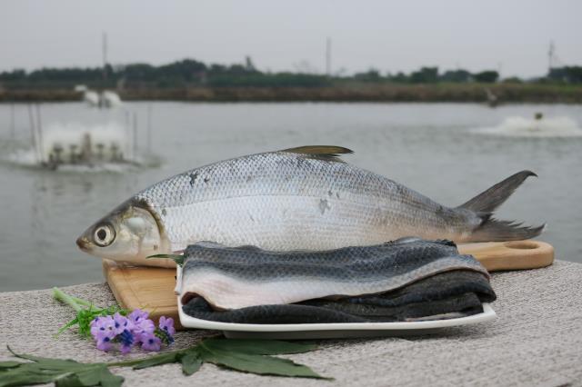 洪氏鮮蝦,新鮮虱目魚皮